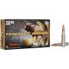 Nosler Partition 308 Win