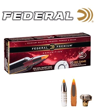Trophy Bonded Tip 300 Win Short Magnum