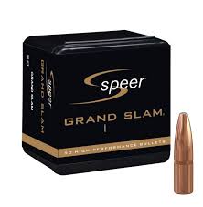 Grand Slam Rifle Bullet .243