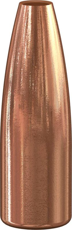 Varmint Hollow Point Bullet .277